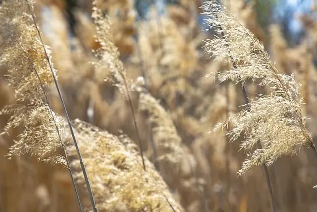 Guide d'achat : Comment éviter les pièges courants