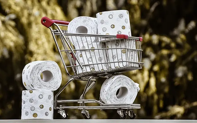 Guide d'achat : Comment maîtriser l'art de l'achat éclairé