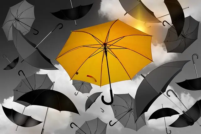 Guide d'achat des produits ménagers : astuces et conseils